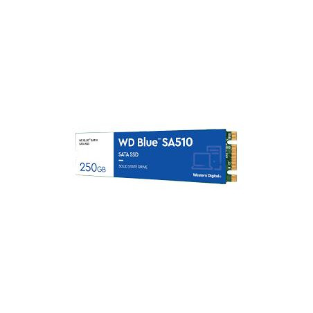 SSD|WESTERN DIGITAL|Blue SA510|250GB|M.2|SATA 3.0|Write speed 440 MBytes/sec|Read speed 555 MBytes/sec|2.38mm|TBW 100 TB|MTBF 17