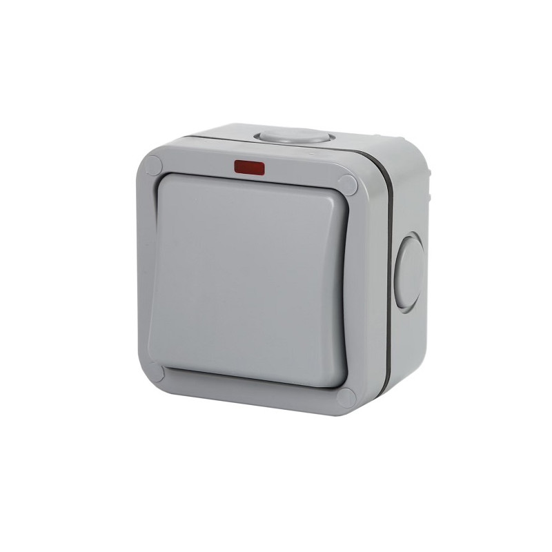 Virštinkinis jungiklis 1 kanalo, IP66, EU