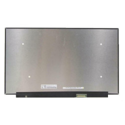 Ekranas 15.6", 1920x1080, 165Hz, matinis, 40pin, dešinėje, IPS