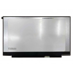 Ekranas 17.3", 2560x1440, 165Hz, matinis, 40pin, dešinėje, IPS