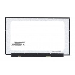 Ekranas 15.6", 1920x1080, 60Hz, matinis, 30pin, dešinėje, IPS