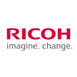 Ricoh 423861 PLATEN COVER...