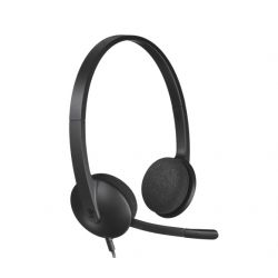 Logitech H340 USB Laidinės...