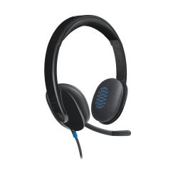 Logitech H540 Laidinės...