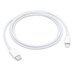 Apple USB-C Male į...