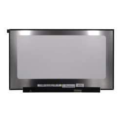 Ekranas 17.3", 1920x1080, 144Hz, matinis, 40pin, dešinėje, IPS