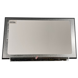 Ekranas 16.1", 1920x1080, 144Hz, matinis, 40pin, dešinėje, IPS